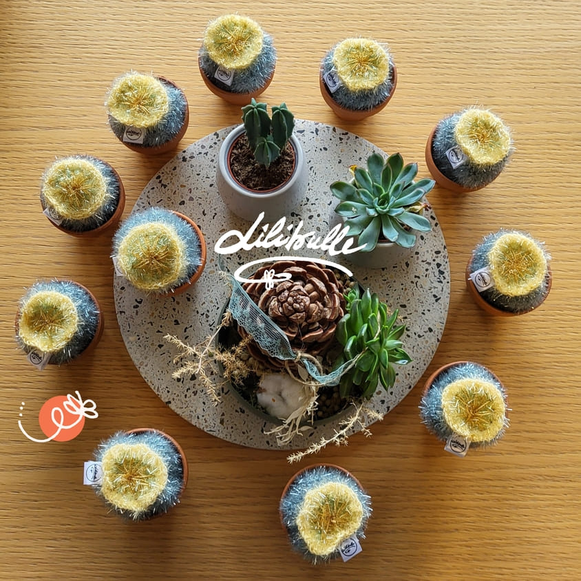 Un joli coin de verdure vrai ou faux ces cactus et pavots. Eponge pour la vaisselle